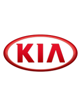 Kia (any model) Fully Bespoke Mobile Remap Service